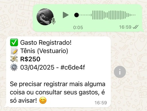 Registra gastos por áudio